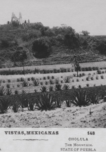 Memorias de la Revolución Mexicana en San Andrés Cholula